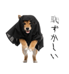 怖いけど可愛い！？おばけ風柴犬。（個別スタンプ：39）