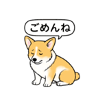 コーギー(しっぽあり＋レッド＆ホワイト)（個別スタンプ：6）