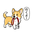 コーギー(しっぽあり＋レッド＆ホワイト)（個別スタンプ：7）