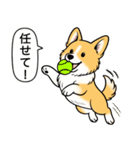 コーギー(しっぽあり＋レッド＆ホワイト)（個別スタンプ：15）