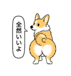 コーギー(しっぽあり＋レッド＆ホワイト)（個別スタンプ：17）