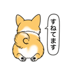 コーギー(しっぽあり＋レッド＆ホワイト)（個別スタンプ：22）
