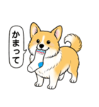 コーギー(しっぽあり＋レッド＆ホワイト)（個別スタンプ：23）