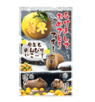 BIG！豪華絢爛！通年バラエティ年賀状DX 再販（個別スタンプ：32）