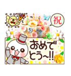 ふわまる 使える！五つ星グルメ（個別スタンプ：30）