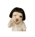 かわいいボブチワワ （NT）（個別スタンプ：1）