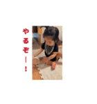 動く碧ぼーい（個別スタンプ：4）