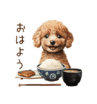 トイプードルとお米（個別スタンプ：1）