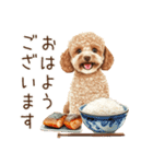 トイプードルとお米（個別スタンプ：2）