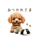 トイプードルとお米（個別スタンプ：4）