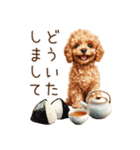 トイプードルとお米（個別スタンプ：8）