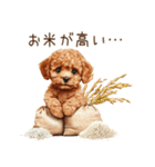 トイプードルとお米（個別スタンプ：9）