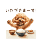 トイプードルとお米（個別スタンプ：11）