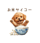トイプードルとお米（個別スタンプ：12）