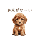 トイプードルとお米（個別スタンプ：13）