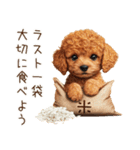 トイプードルとお米（個別スタンプ：19）