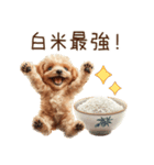 トイプードルとお米（個別スタンプ：22）