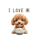 トイプードルとお米（個別スタンプ：26）