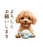 トイプードルとお米（個別スタンプ：28）