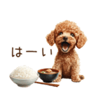 トイプードルとお米（個別スタンプ：30）