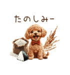 トイプードルとお米（個別スタンプ：34）