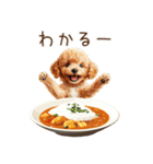 トイプードルとお米（個別スタンプ：36）