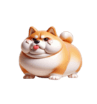 まんまる柴犬・おもしろ表情（個別スタンプ：11）