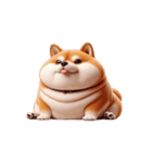 まんまる柴犬・おもしろ表情（個別スタンプ：18）
