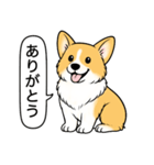 コーギー(しっぽなし＋レッド＆ホワイト)（個別スタンプ：4）