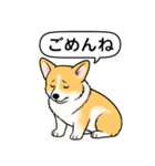 コーギー(しっぽなし＋レッド＆ホワイト)（個別スタンプ：6）