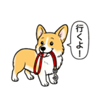 コーギー(しっぽなし＋レッド＆ホワイト)（個別スタンプ：7）