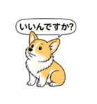 コーギー(しっぽなし＋レッド＆ホワイト)（個別スタンプ：13）