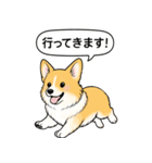 コーギー(しっぽなし＋レッド＆ホワイト)（個別スタンプ：14）