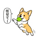 コーギー(しっぽなし＋レッド＆ホワイト)（個別スタンプ：15）