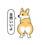 コーギー(しっぽなし＋レッド＆ホワイト)（個別スタンプ：17）