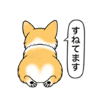 コーギー(しっぽなし＋レッド＆ホワイト)（個別スタンプ：22）