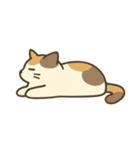 だるそうな猫がだらだらしている（個別スタンプ：9）