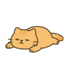 だるそうな猫がだらだらしている（個別スタンプ：12）