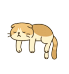 だるそうな猫がだらだらしている（個別スタンプ：14）