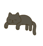 だるそうな猫がだらだらしている（個別スタンプ：15）