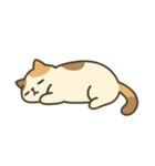 だるそうな猫がだらだらしている（個別スタンプ：16）