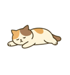 だるそうな猫がだらだらしている（個別スタンプ：18）