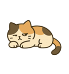 だるそうな猫がだらだらしている（個別スタンプ：25）