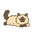 だるそうな猫がだらだらしている（個別スタンプ：26）
