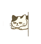 だるそうな猫がだらだらしている（個別スタンプ：29）