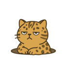 だるそうな猫がだらだらしている（個別スタンプ：30）