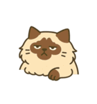 だるそうな猫がだらだらしている（個別スタンプ：31）