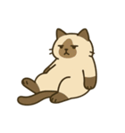 だるそうな猫がだらだらしている（個別スタンプ：36）