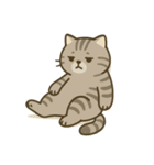 だるそうな猫がだらだらしている（個別スタンプ：37）