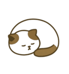 だるそうな猫がだらだらしている（個別スタンプ：38）